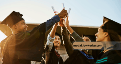 affordable universities for international students, how to get scholarship in the USA